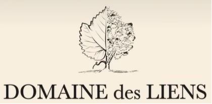 Domaine des liens
