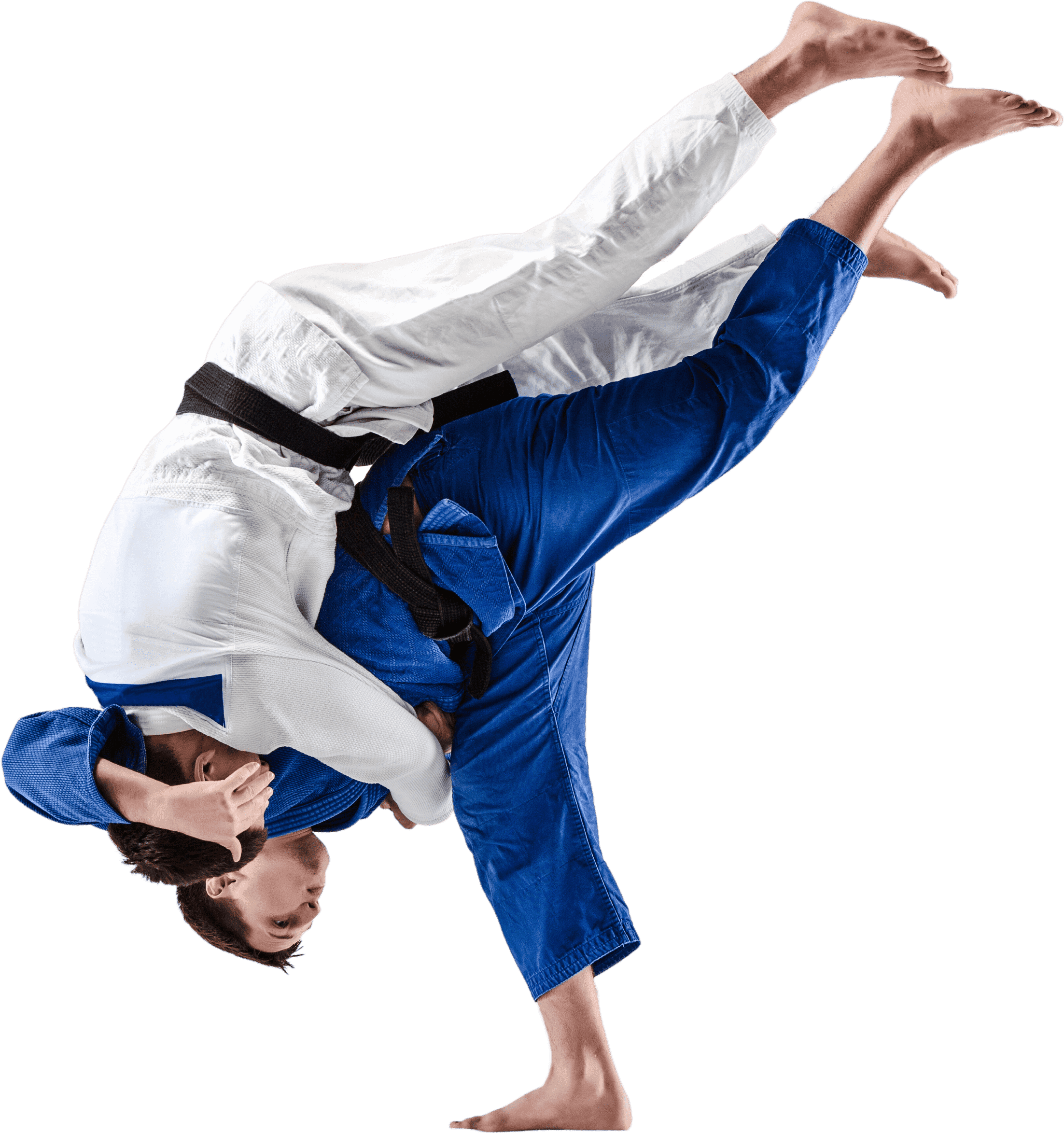 Adultes Combat Judo